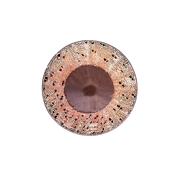 Brow Liner
