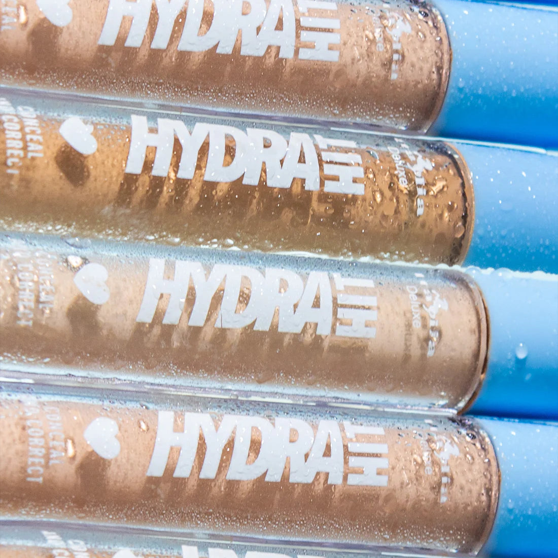 HydraHit Correct and Conceal